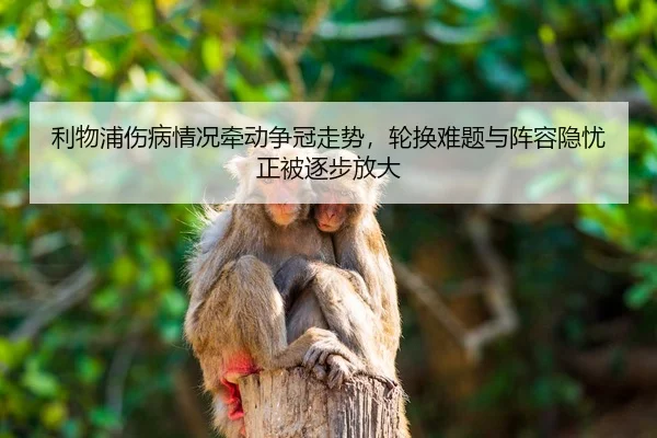利物浦伤病情况牵动争冠走势,轮换难题与阵容隐忧正被逐步放大